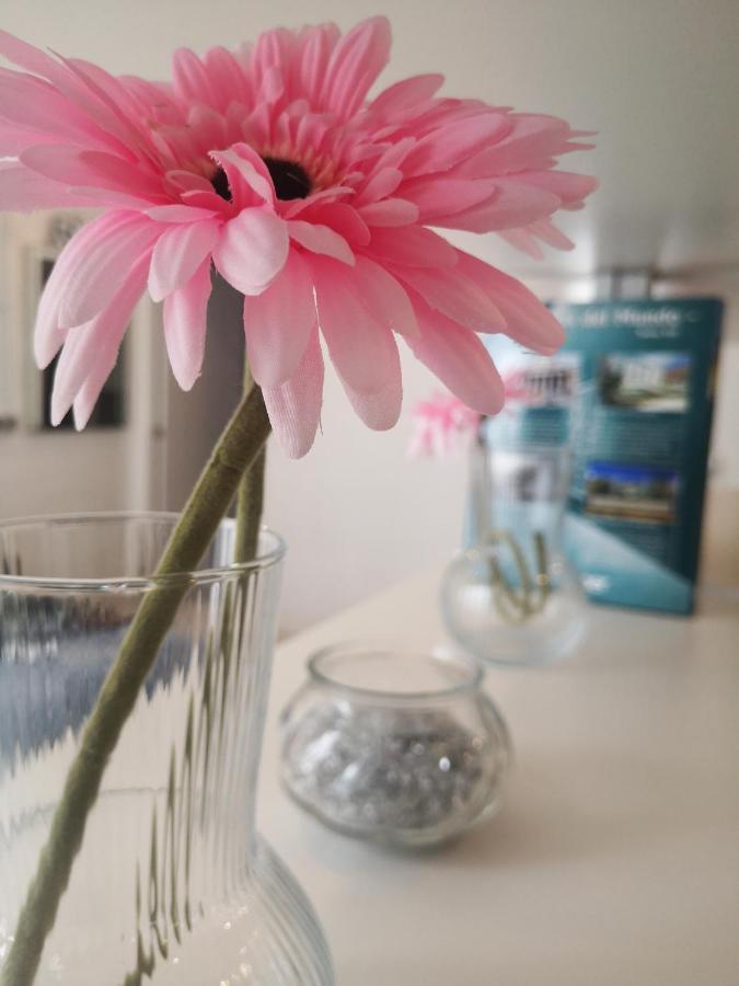 Apartamento Rosa Puerta Del Sol Daire Madrid Dış mekan fotoğraf